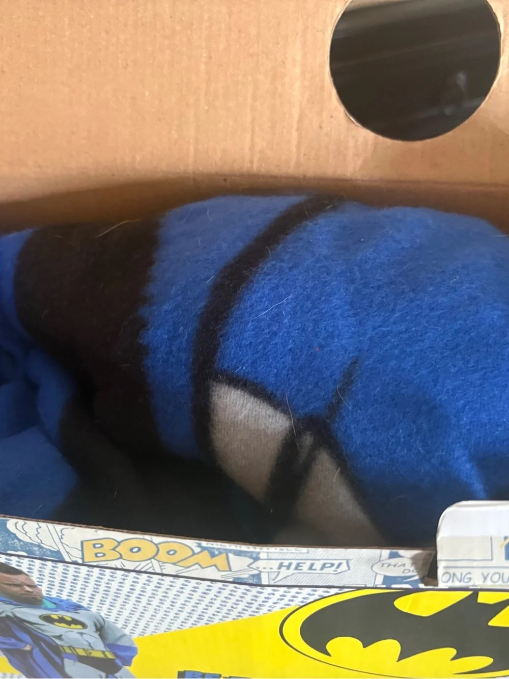 Bat Man Fleece Cozy-Fleece Blanket with Sleeves